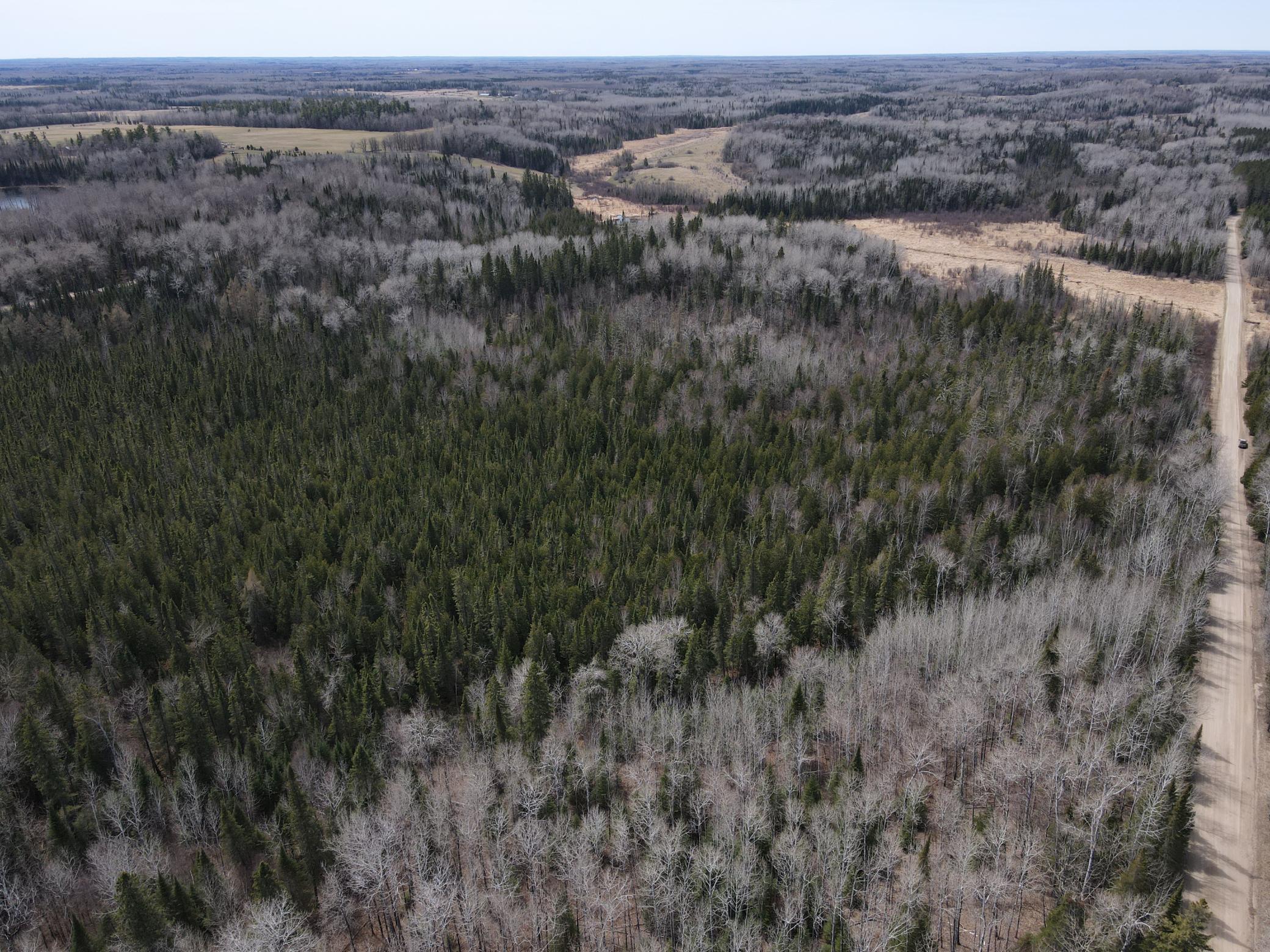 land for sale at TBD CO Rd 40 in Effie, MN (photo 14 of 25)