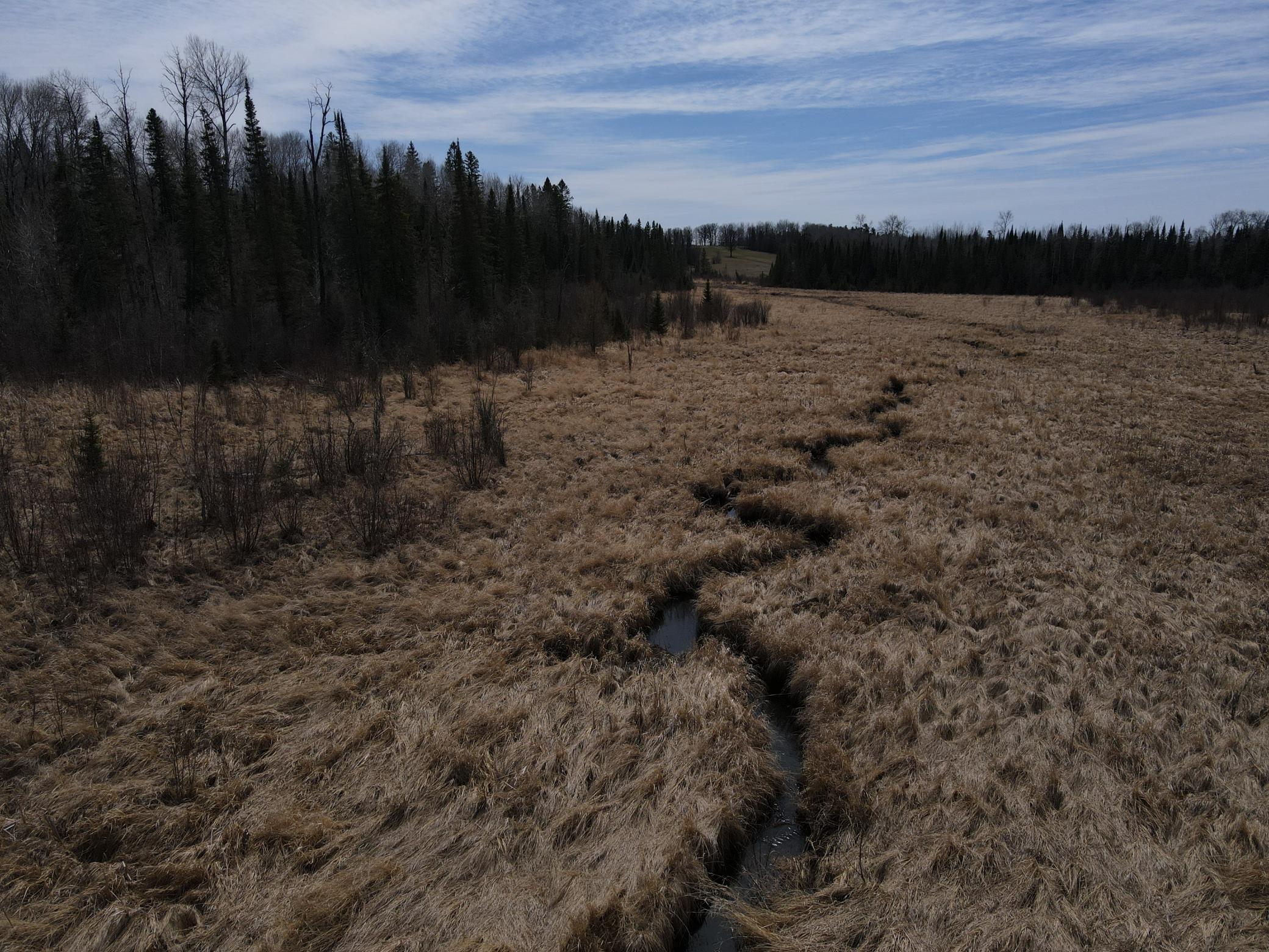 land for sale at TBD CO Rd 40 in Effie, MN (photo 16 of 25)