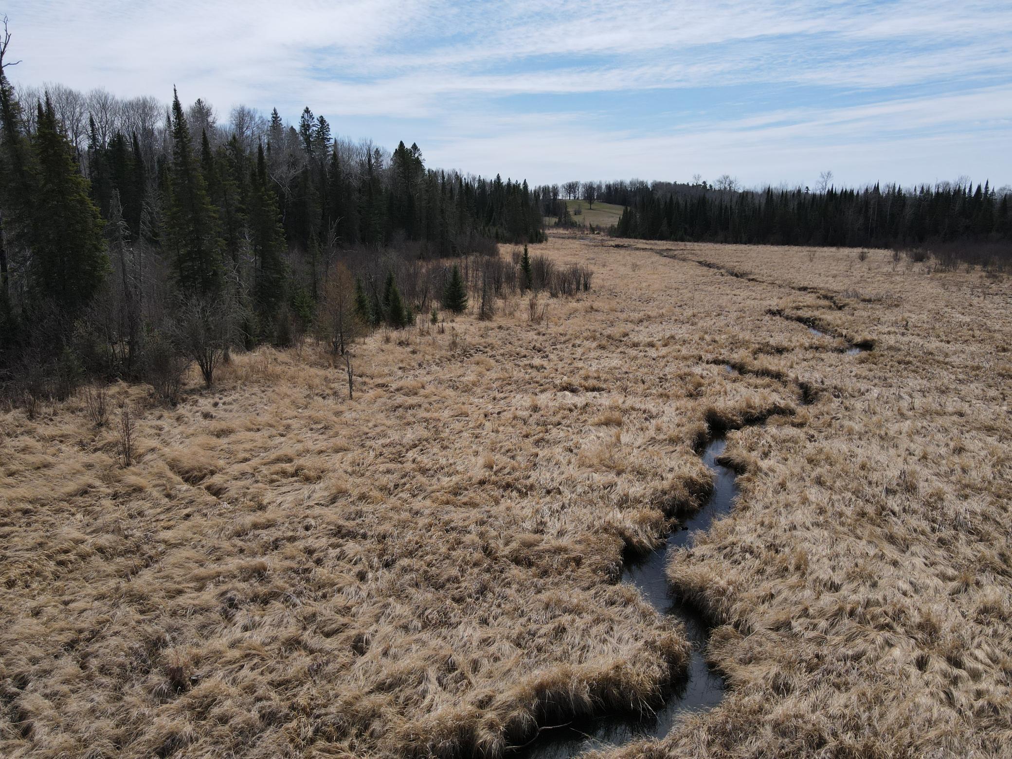 land for sale at TBD CO Rd 40 in Effie, MN (photo 17 of 25)