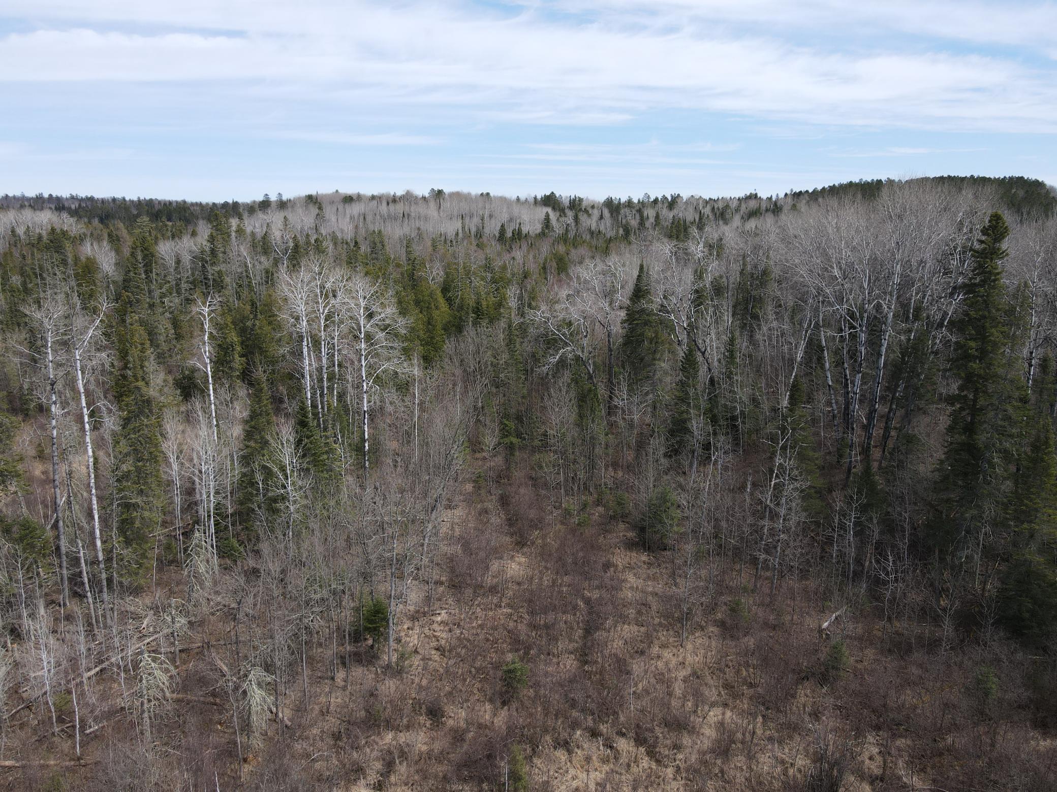 land for sale at TBD CO Rd 40 in Effie, MN (photo 18 of 25)