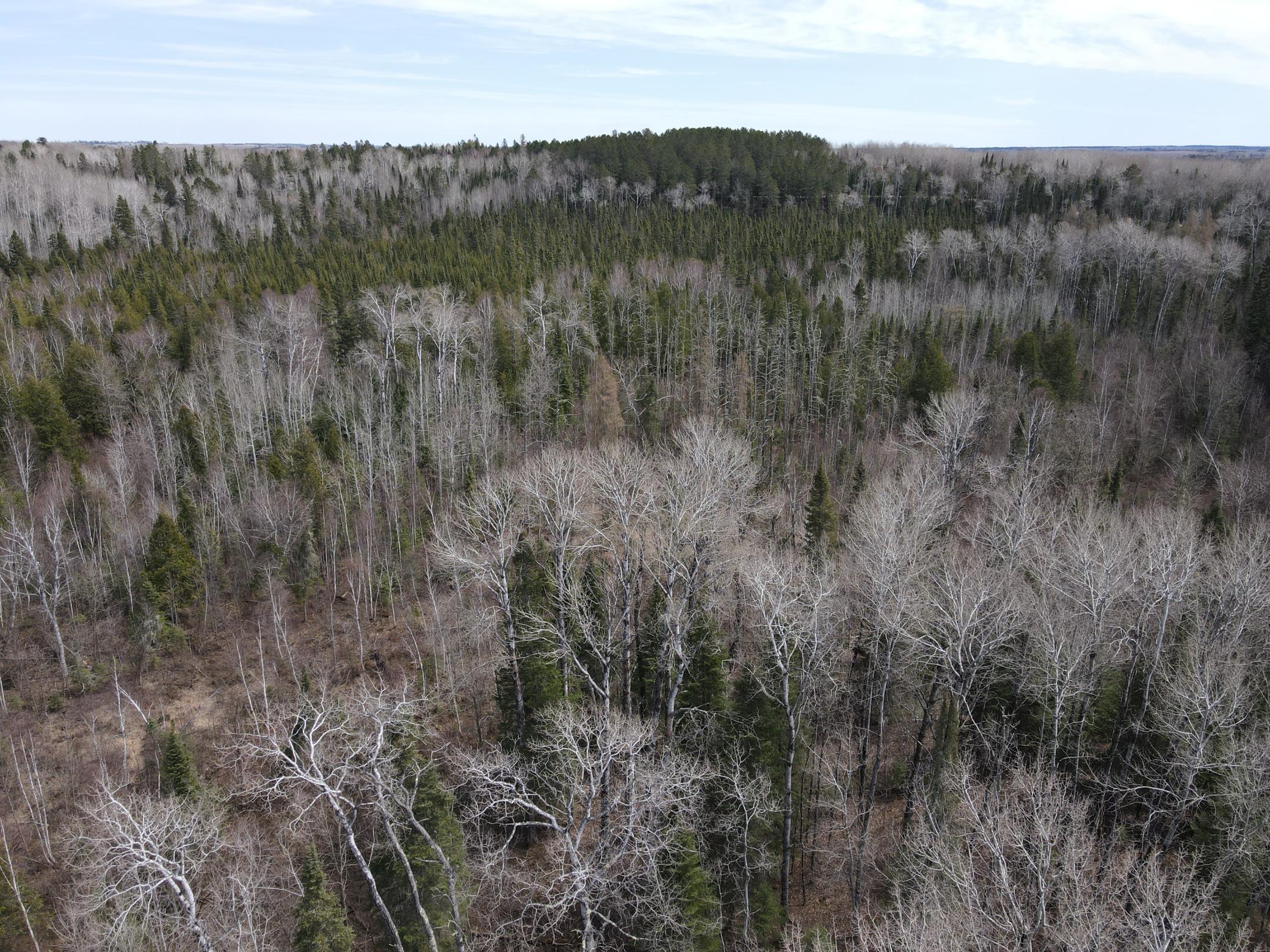 land for sale at TBD CO Rd 40 in Effie, MN (photo 20 of 25)
