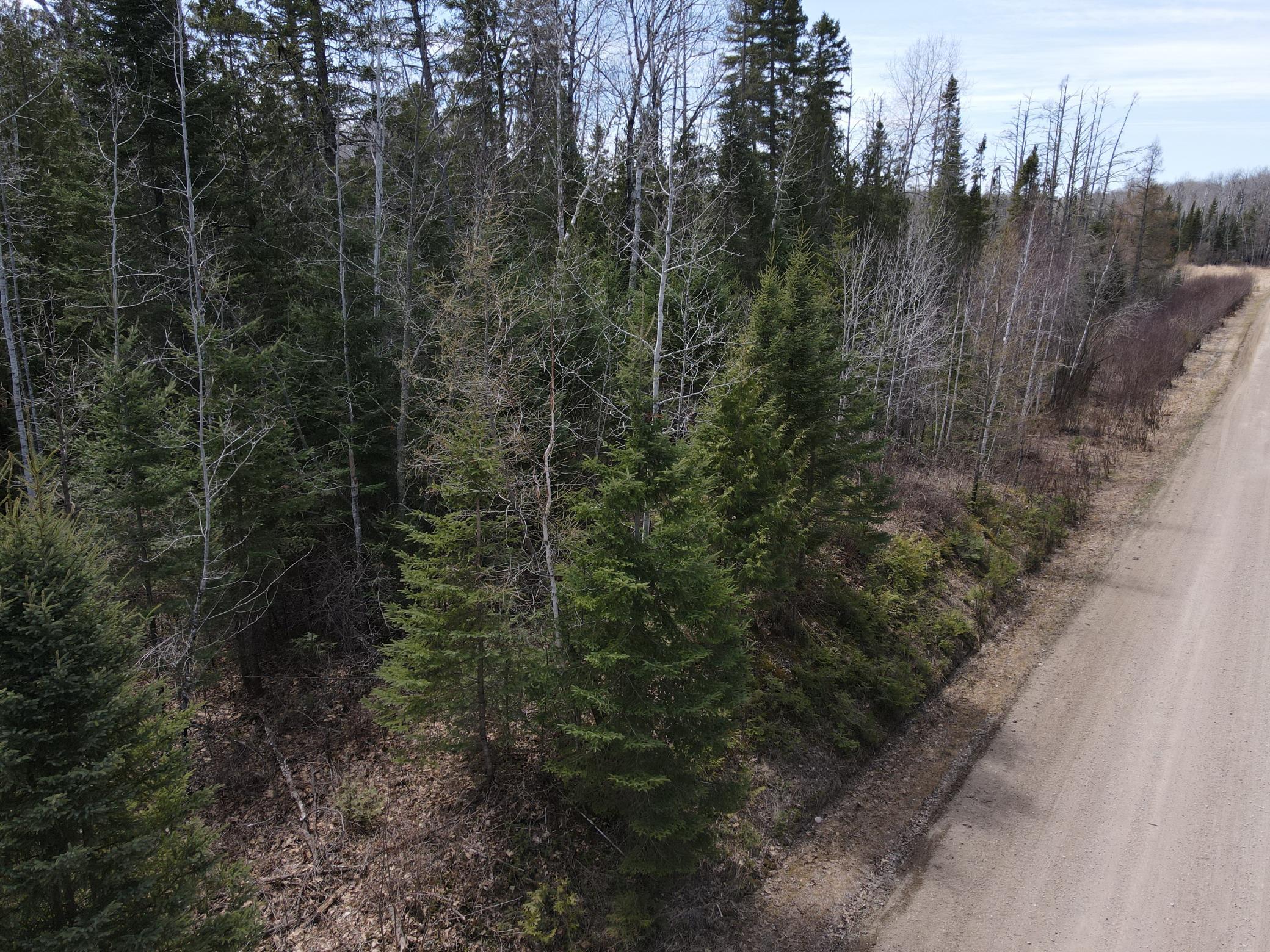 land for sale at TBD CO Rd 40 in Effie, MN (photo 3 of 25)
