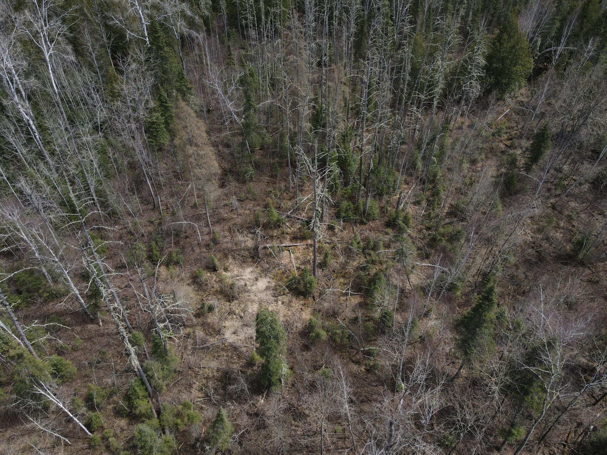land for sale at TBD CO Rd 40 in Effie, MN (photo 21 of 25)