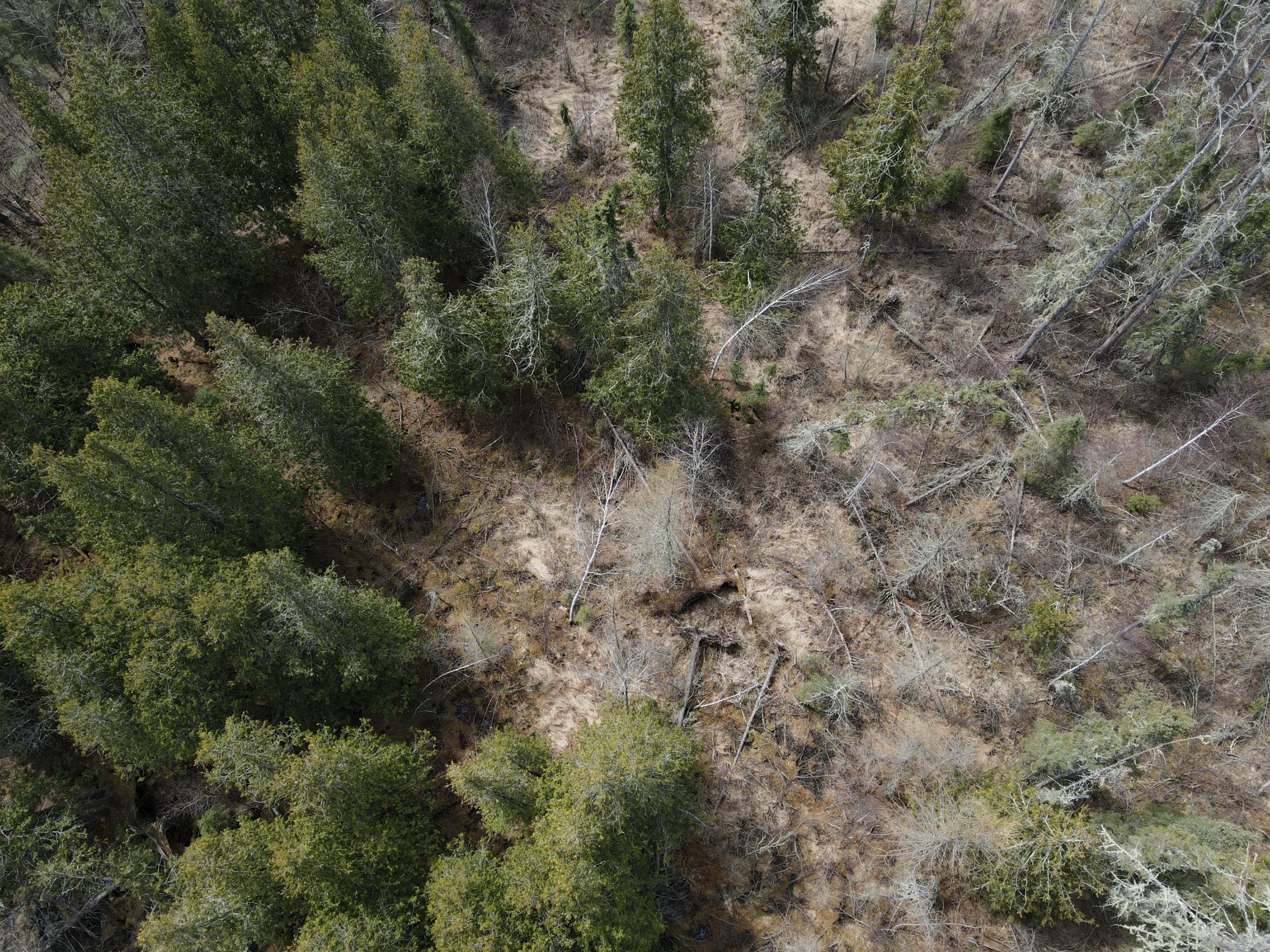 land for sale at TBD CO Rd 40 in Effie, MN (photo 23 of 25)