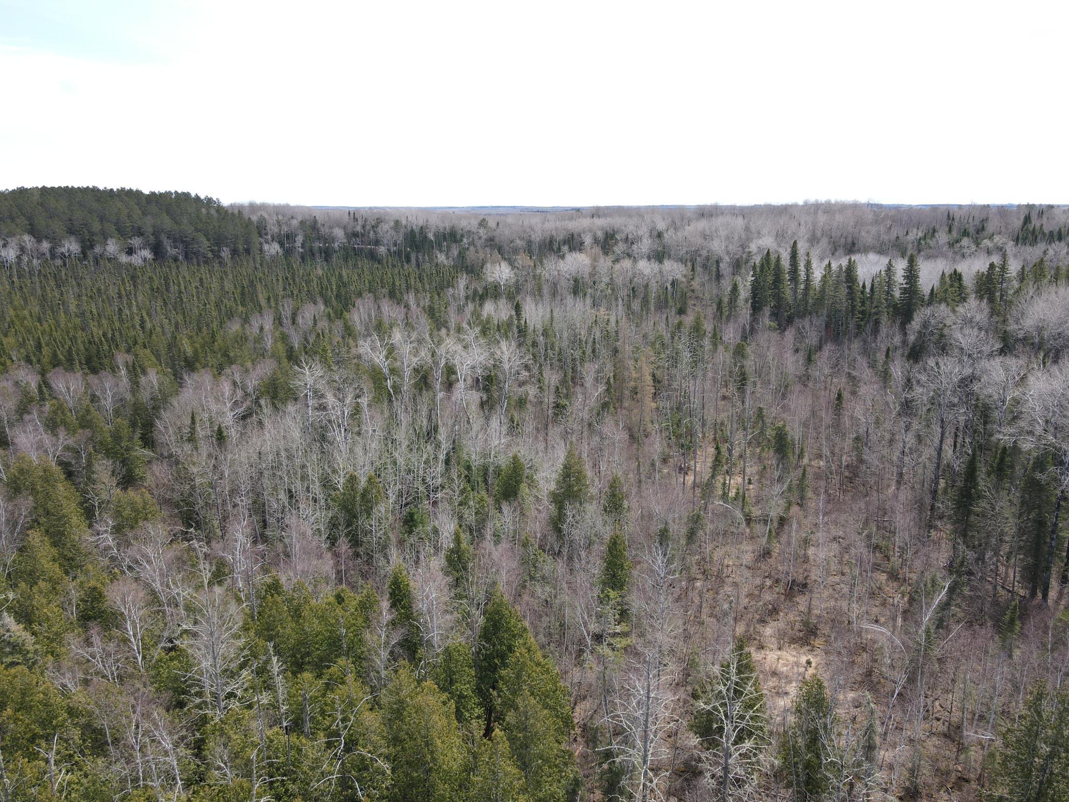 land for sale at TBD CO Rd 40 in Effie, MN (photo 25 of 25)
