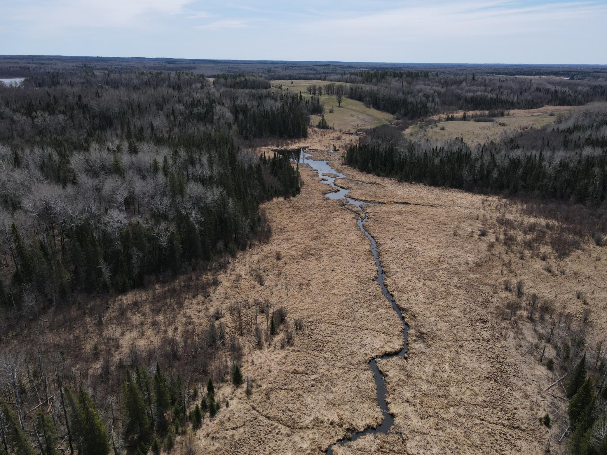 land for sale at TBD CO Rd 40 in Effie, MN (photo 5 of 25)