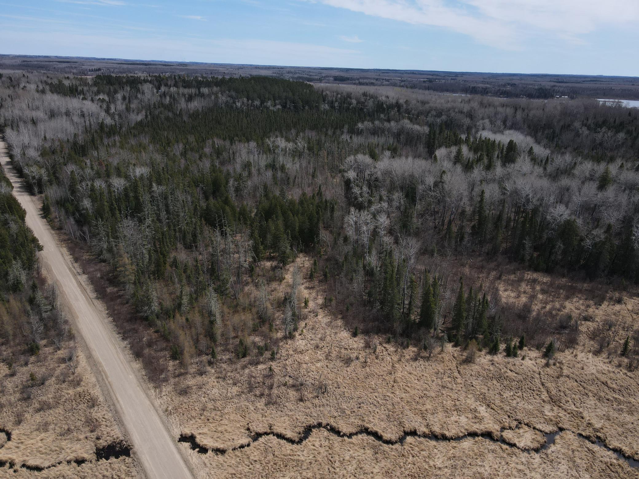 land for sale at TBD CO Rd 40 in Effie, MN (photo 6 of 25)