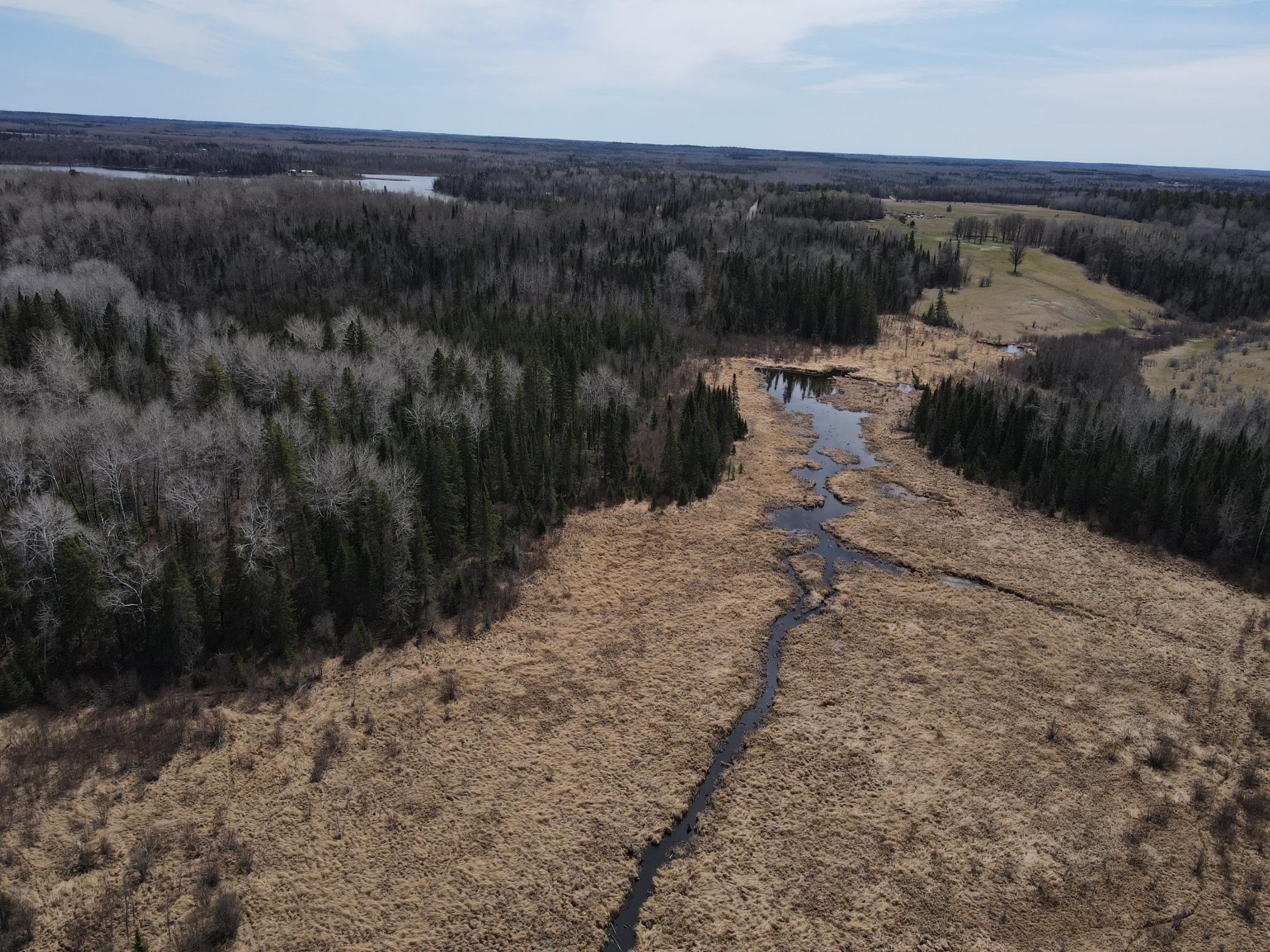 land for sale at TBD CO Rd 40 in Effie, MN (photo 7 of 25)