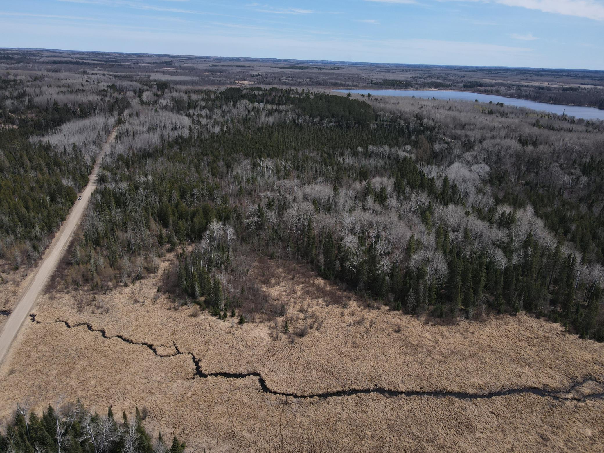 land for sale at TBD CO Rd 40 in Effie, MN (photo 8 of 25)
