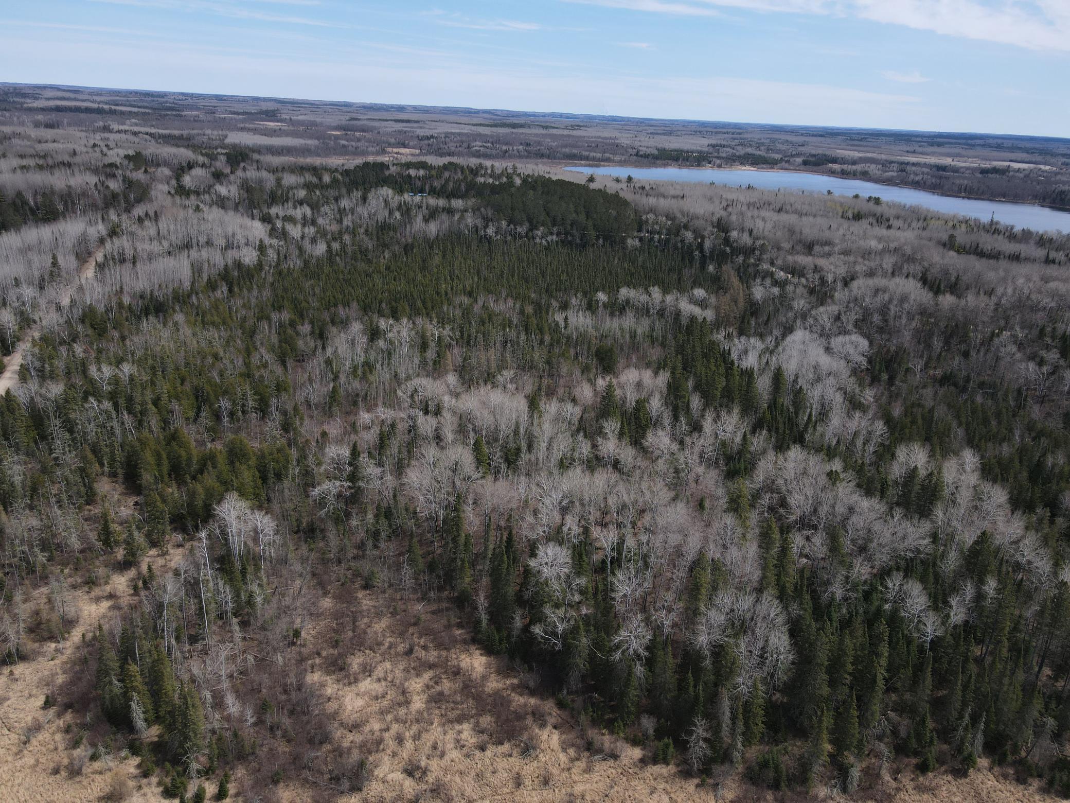 land for sale at TBD CO Rd 40 in Effie, MN (photo 9 of 25)