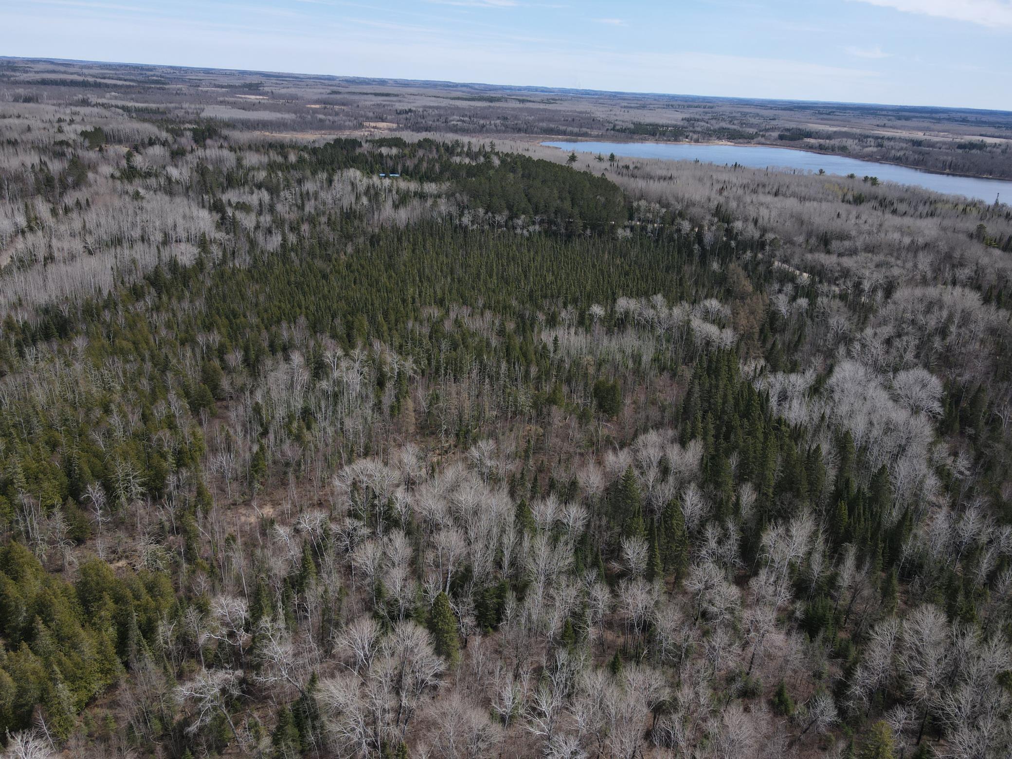 land for sale at TBD CO Rd 40 in Effie, MN (photo 10 of 25)