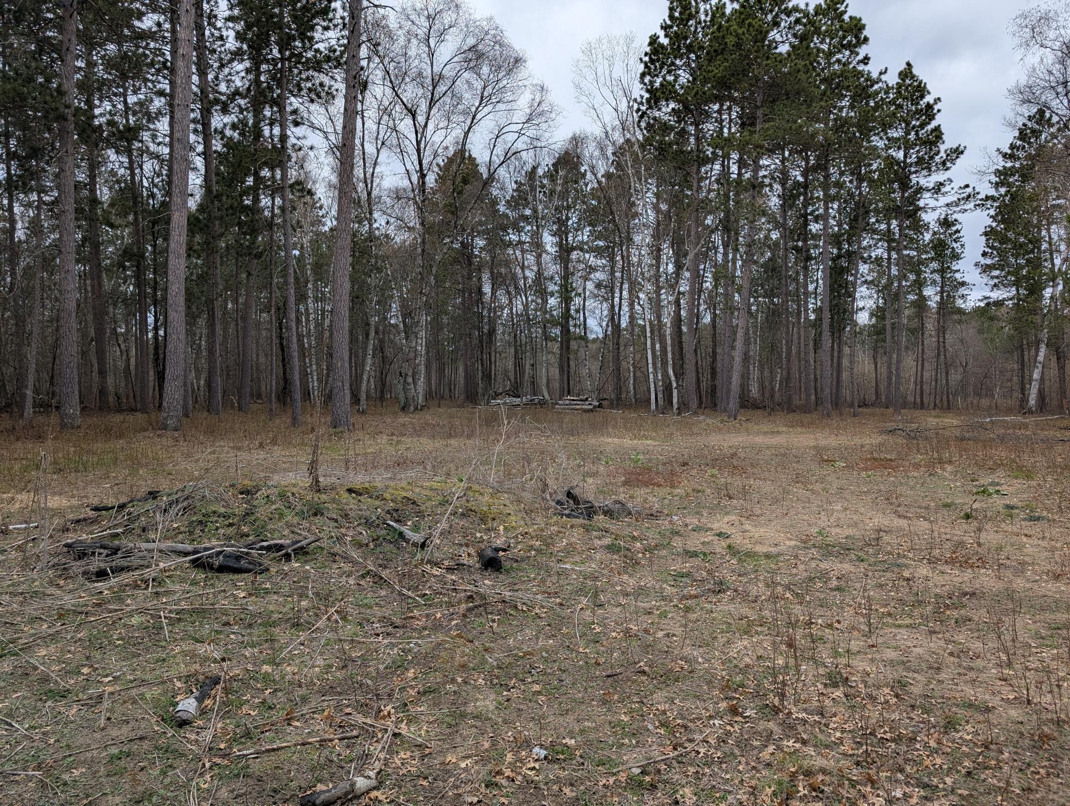 land for sale at 35546 Pine Terrace Road in Crosslake, MN