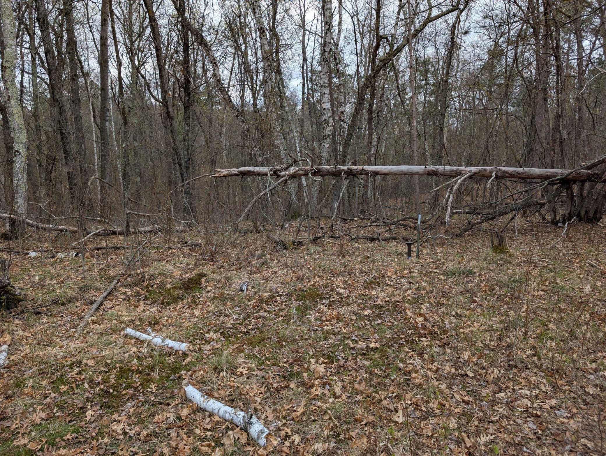 land for sale at 35546 Pine Terrace Road in Crosslake, MN (photo 2 of 3)