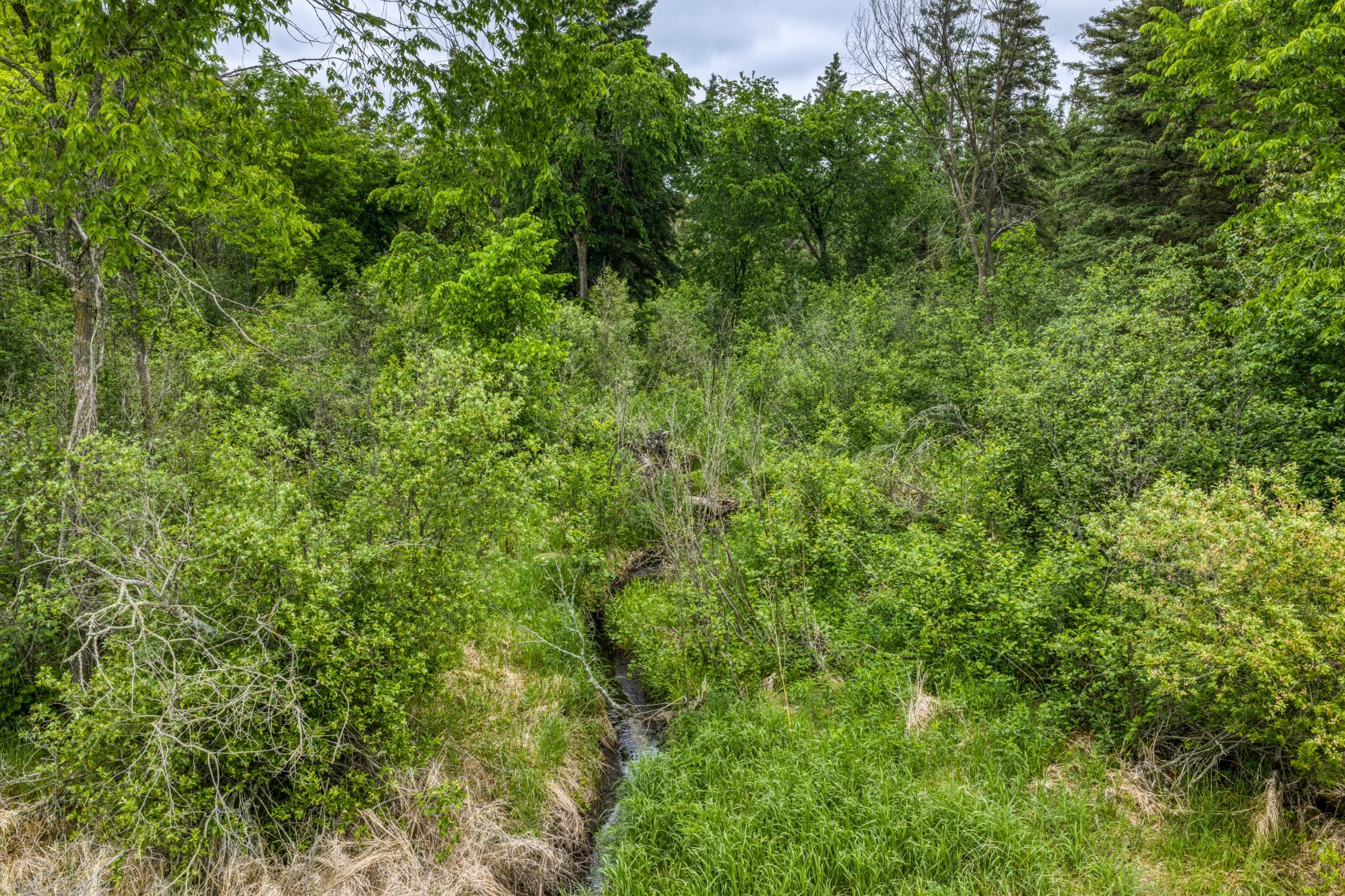 24058 County 2, Shevlin MN 56676 - Photo 49 of 90