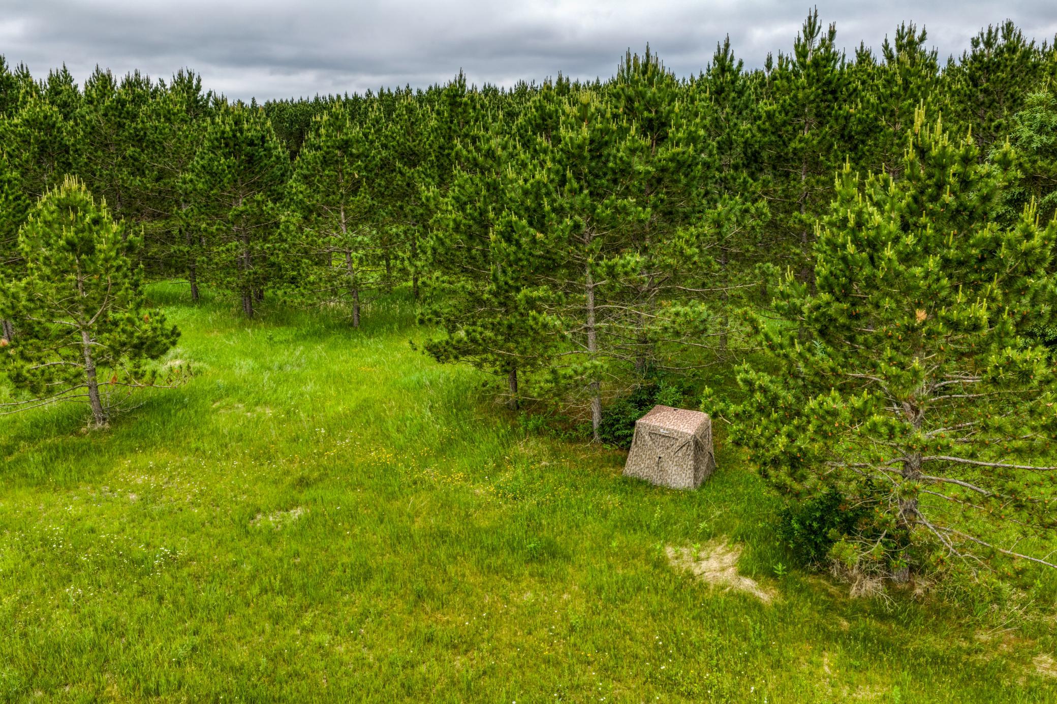 24058 County 2, Shevlin MN 56676 - Photo 53 of 90