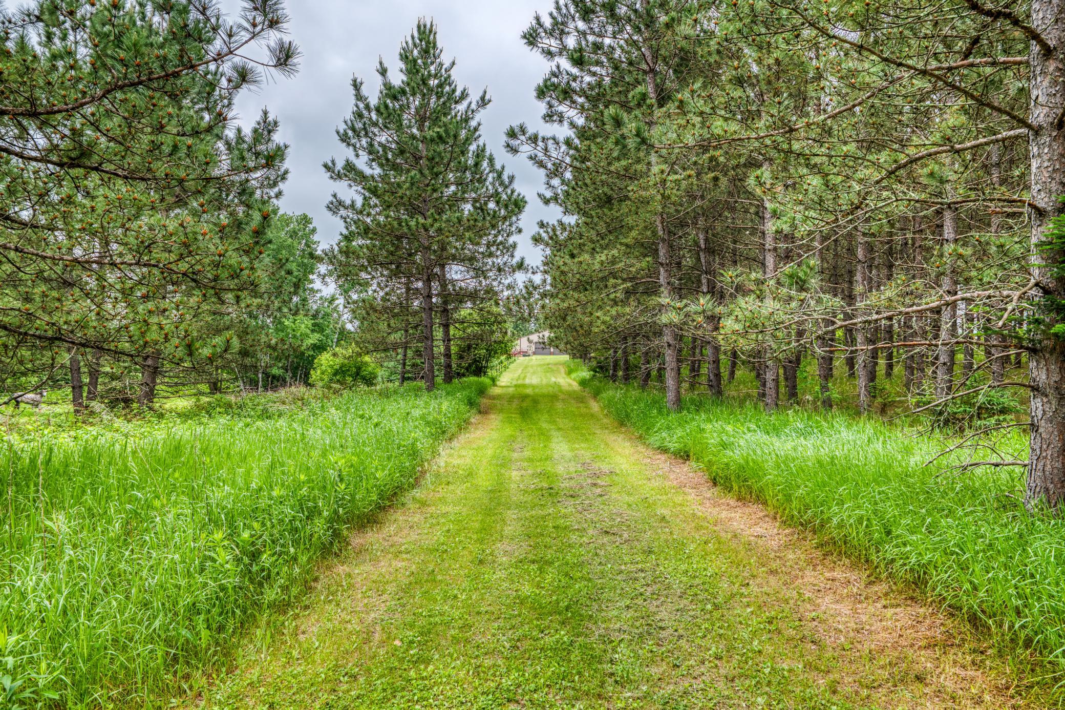 24058 County 2, Shevlin MN 56676 - Photo 57 of 90