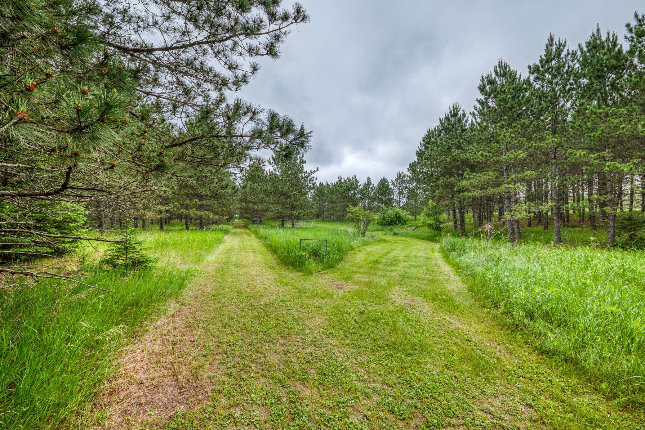 24058 County 2, Shevlin MN 56676 - Photo 58 of 90