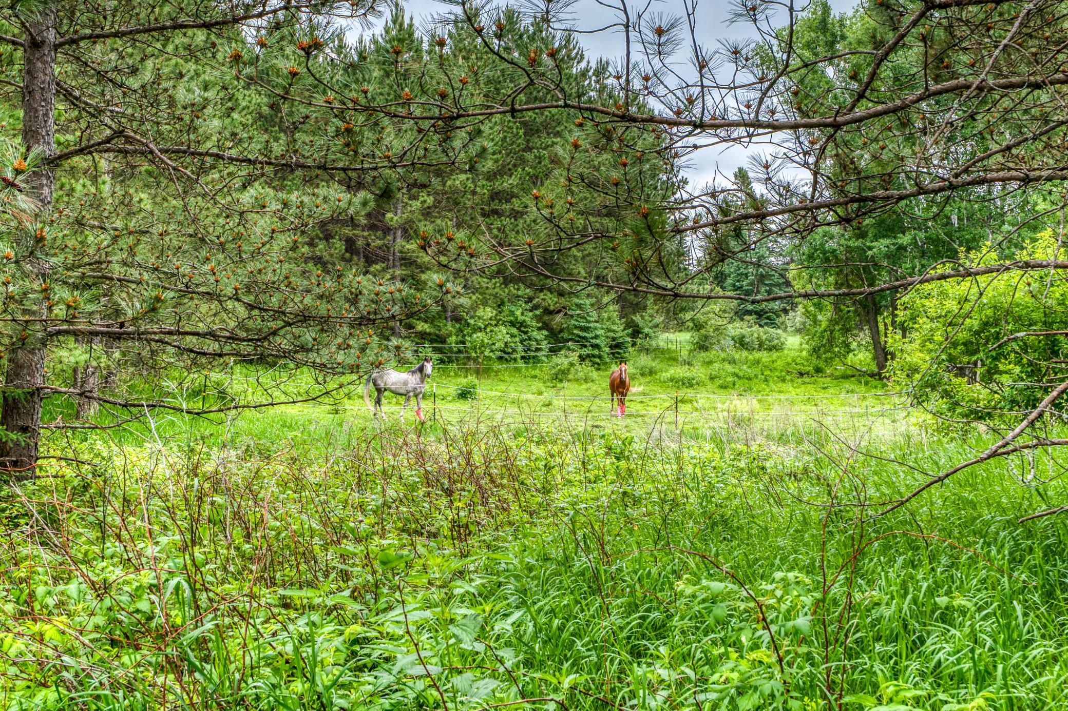 24058 County 2, Shevlin MN 56676 - Photo 59 of 90