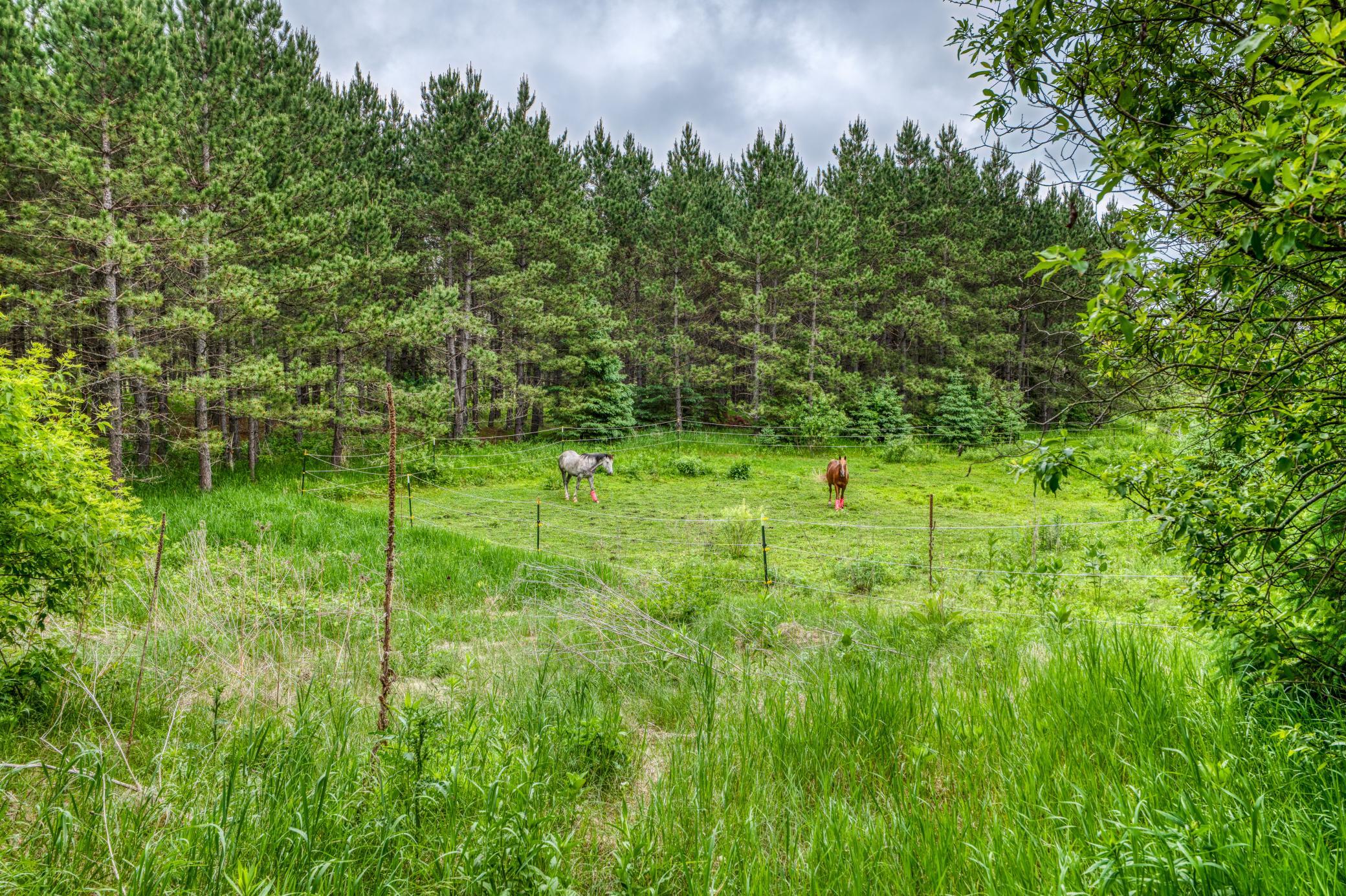 24058 County 2, Shevlin MN 56676 - Photo 60 of 90