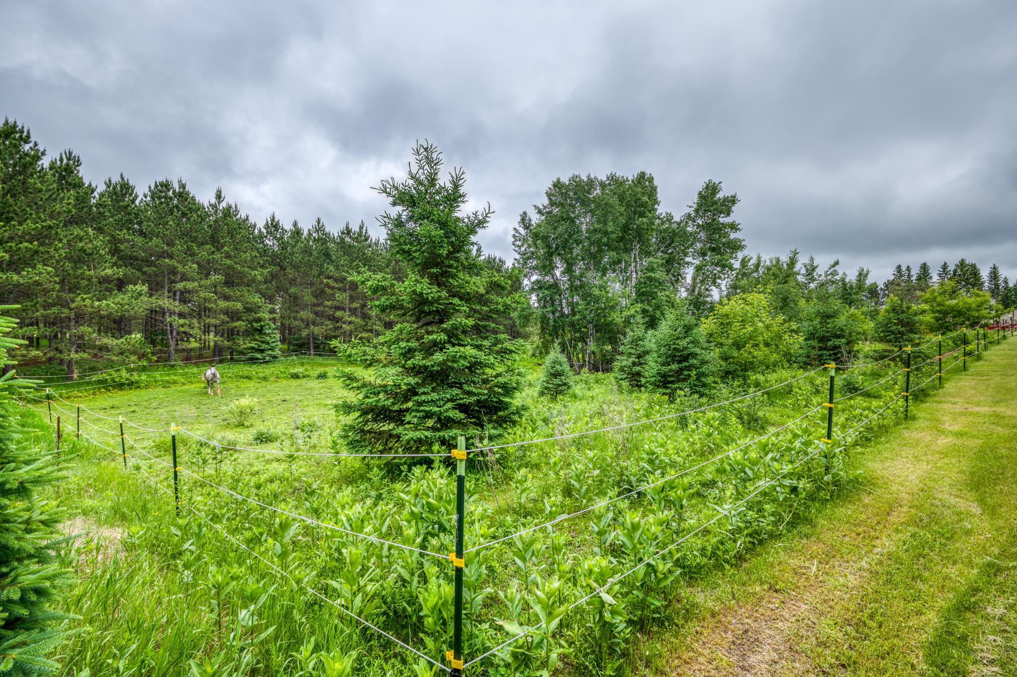 24058 County 2, Shevlin MN 56676 - Photo 61 of 90