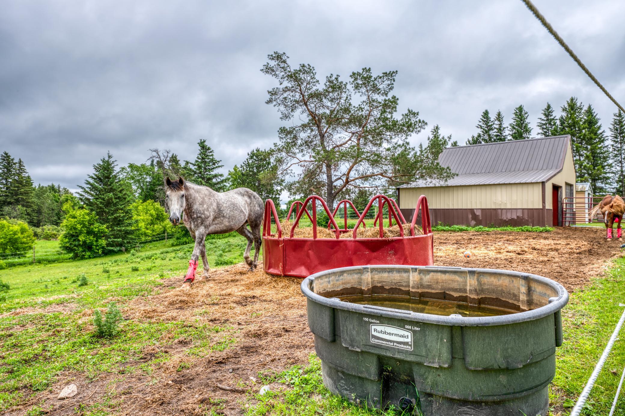 24058 County 2, Shevlin MN 56676 - Photo 70 of 90
