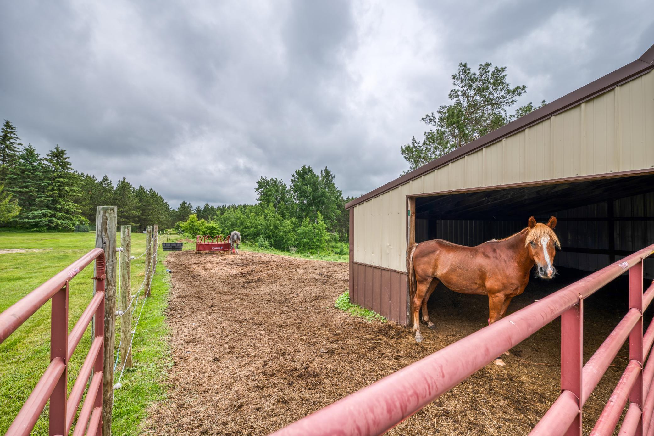 24058 County 2, Shevlin MN 56676 - Photo 77 of 90