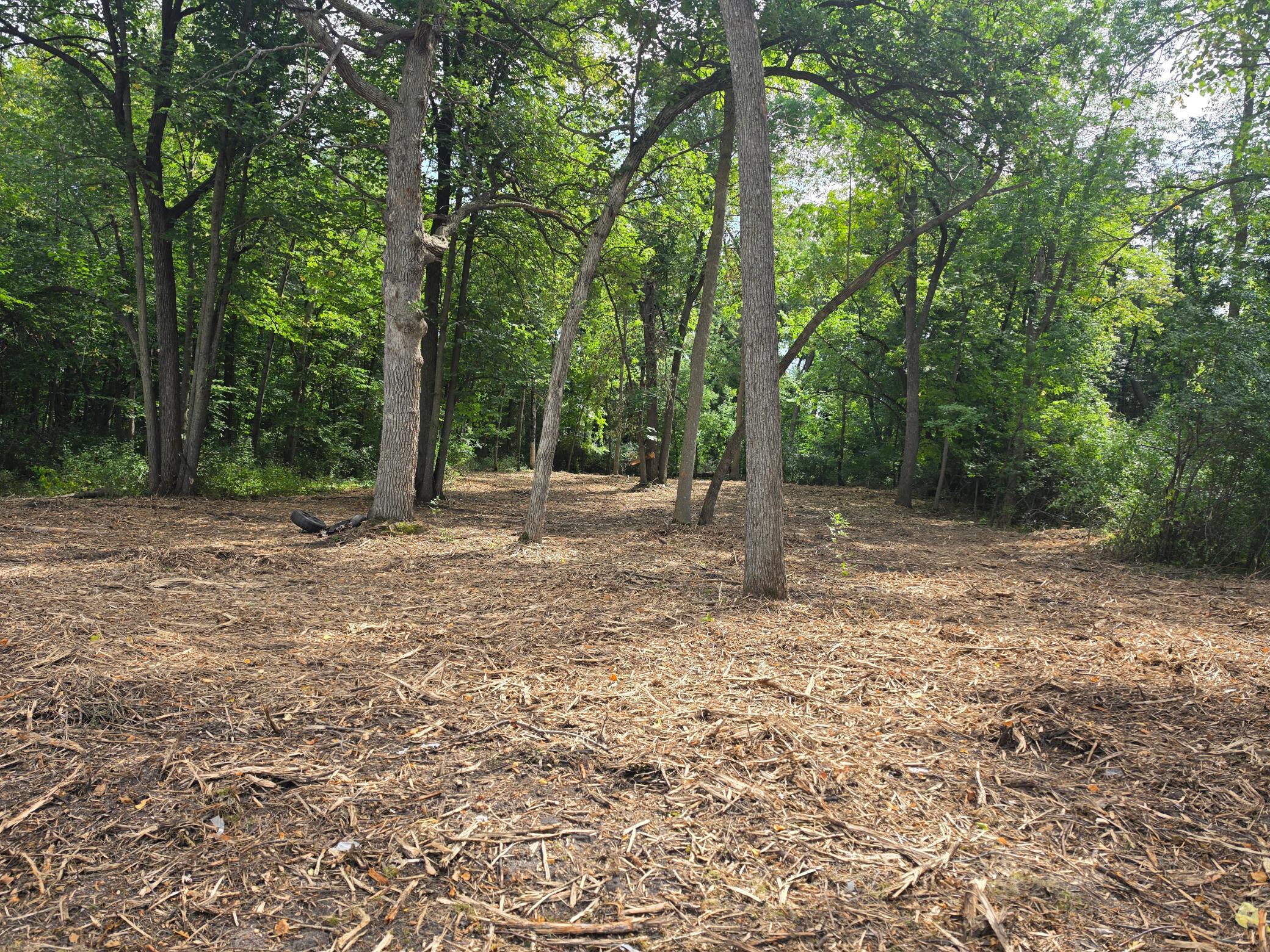 land for sale at 1077 S Shore Drive in Detroit Lakes, MN (photo 5 of 9)