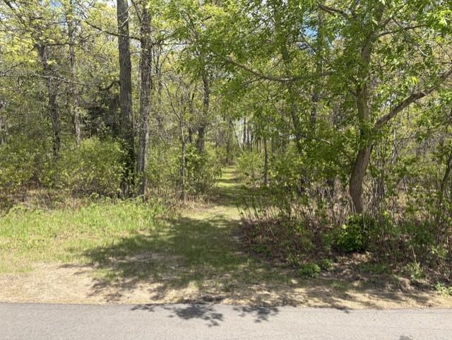 2001 twin home for sale at 24175 White Pine Drive in Nisswa, MN — 2 bed, 2 bath (photo 26 of 29)