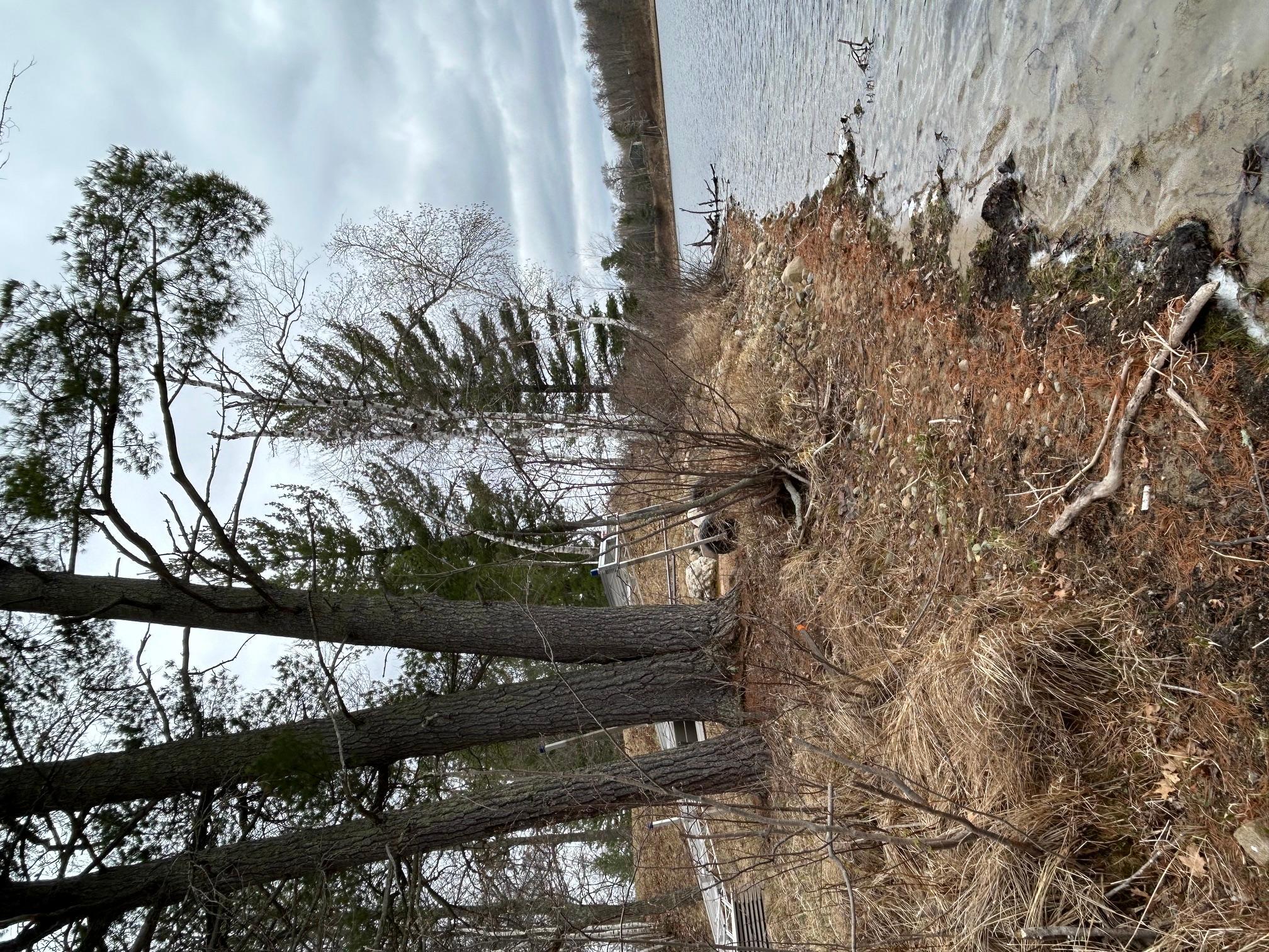 land for sale at 1642 20th Street NW in Backus, MN (photo 17 of 18)