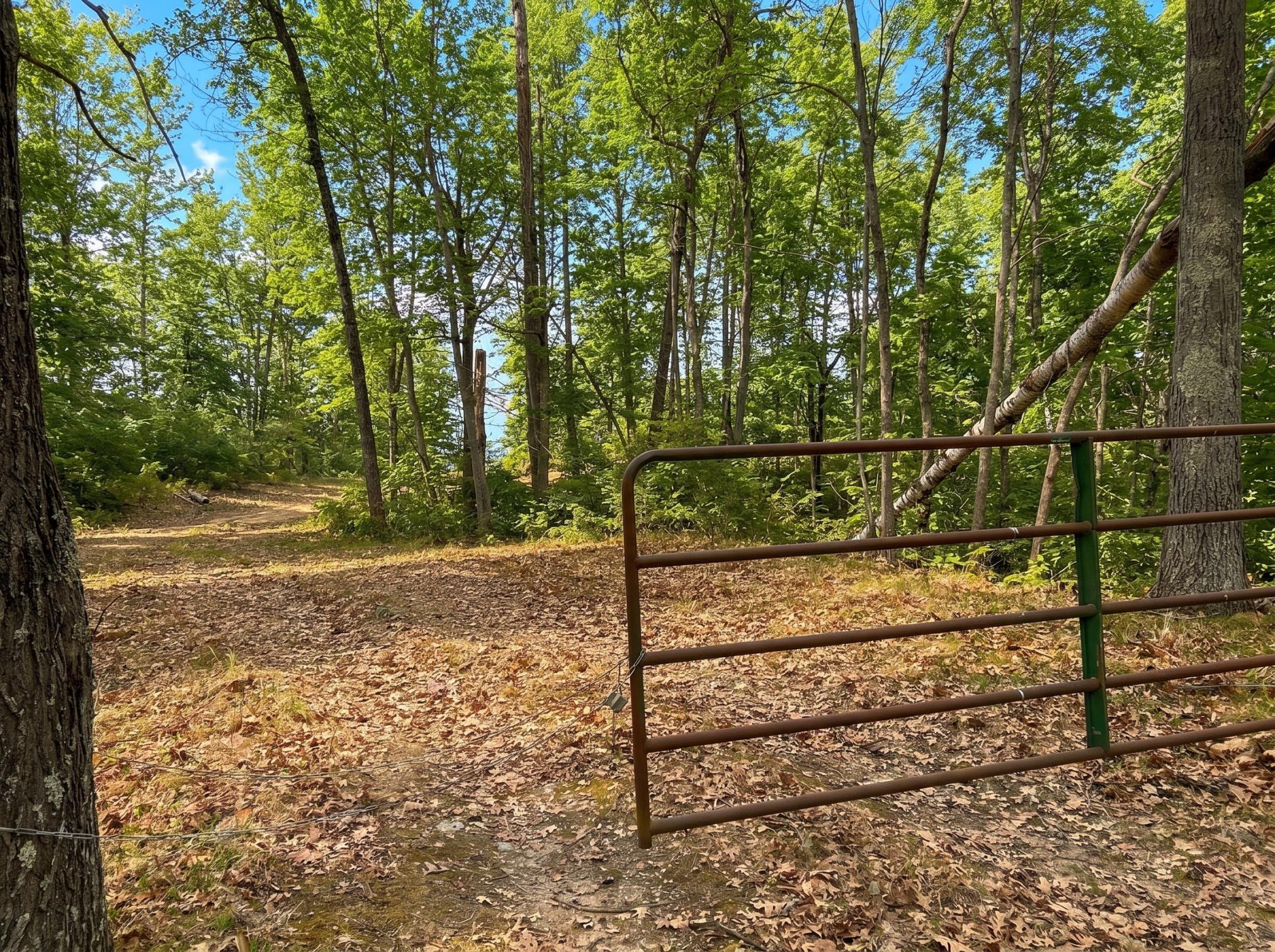 land for sale at 1642 20th Street NW in Backus, MN (photo 3 of 18)