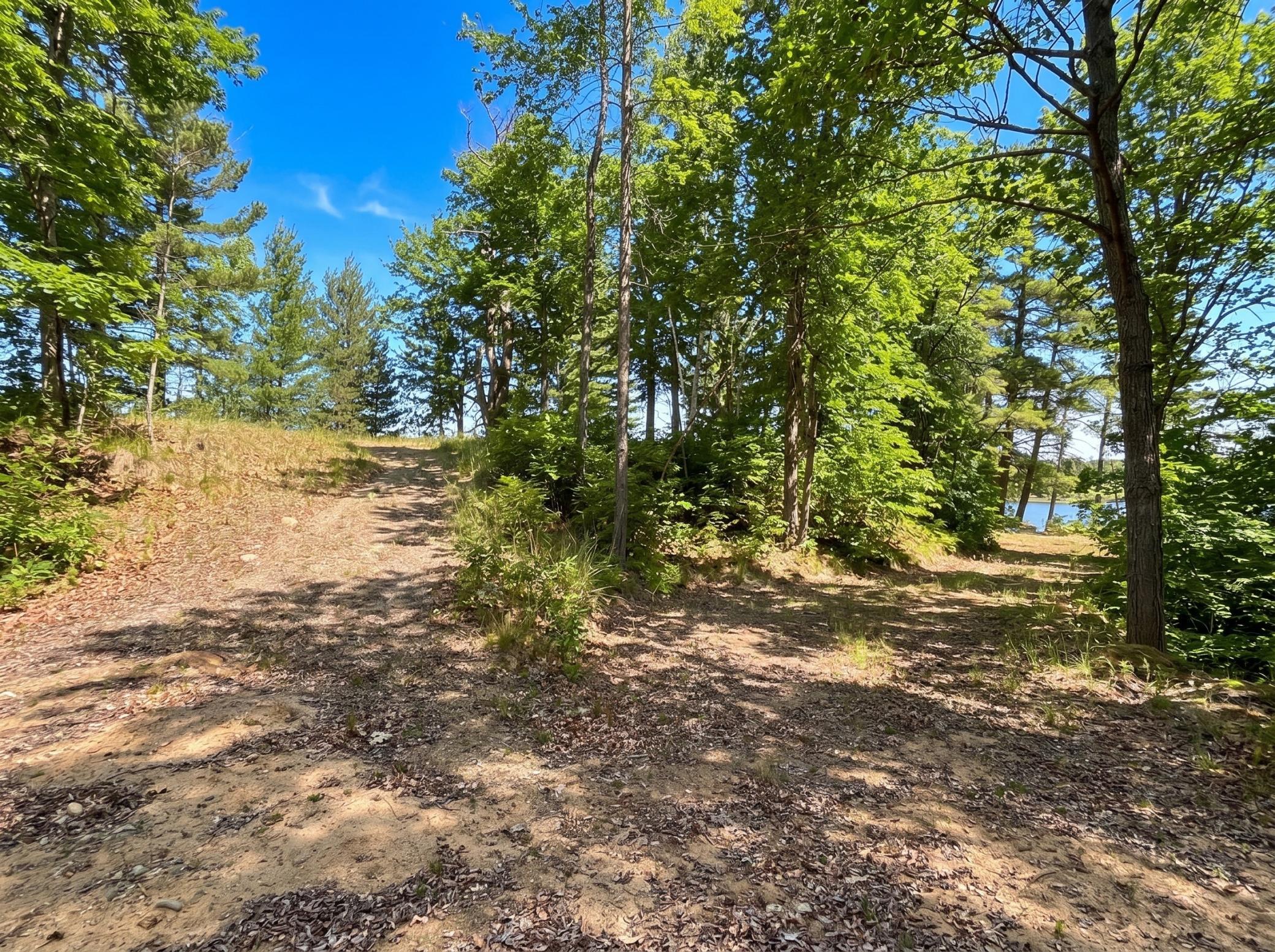 land for sale at 1642 20th Street NW in Backus, MN (photo 6 of 18)