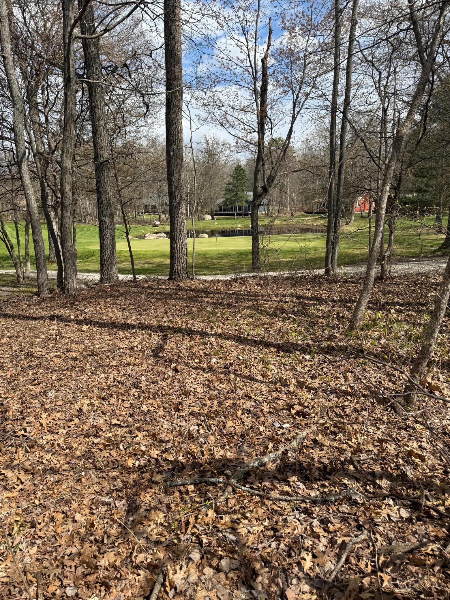 land for sale at TBD County Road 16 in Pequot Lakes, MN (photo 2 of 8)