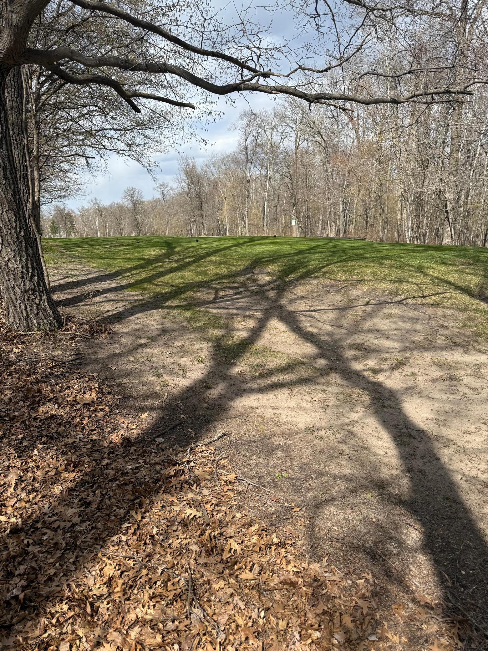 land for sale at TBD County Road 16 in Pequot Lakes, MN (photo 3 of 8)