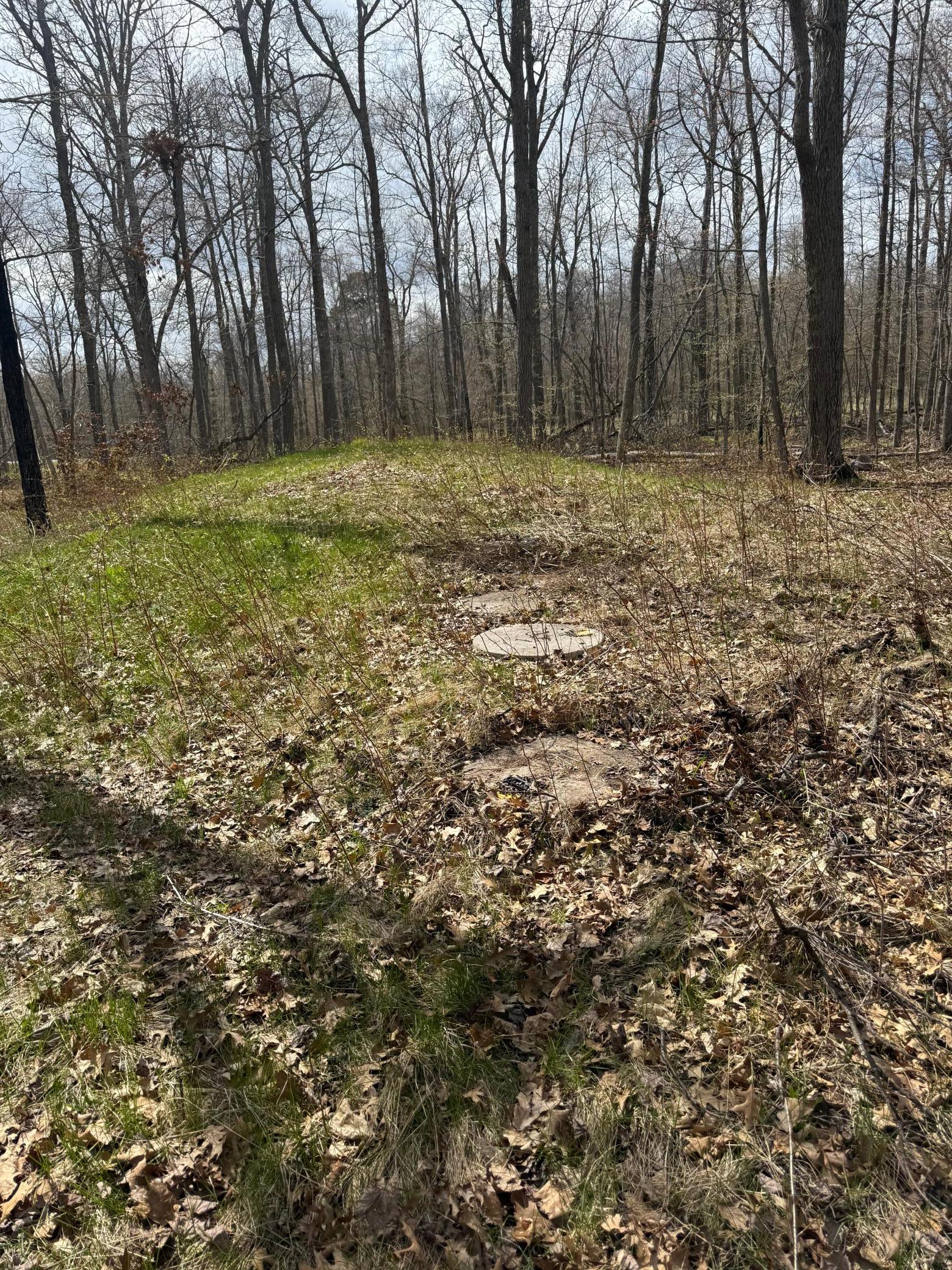land for sale at TBD County Road 16 in Pequot Lakes, MN (photo 4 of 8)