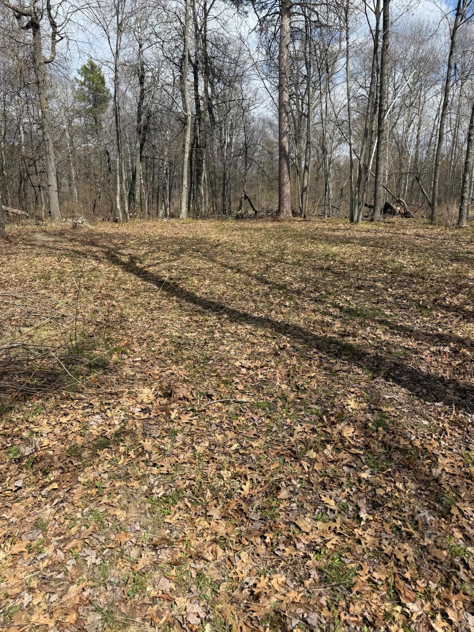 land for sale at TBD County Road 16 in Pequot Lakes, MN (photo 6 of 8)