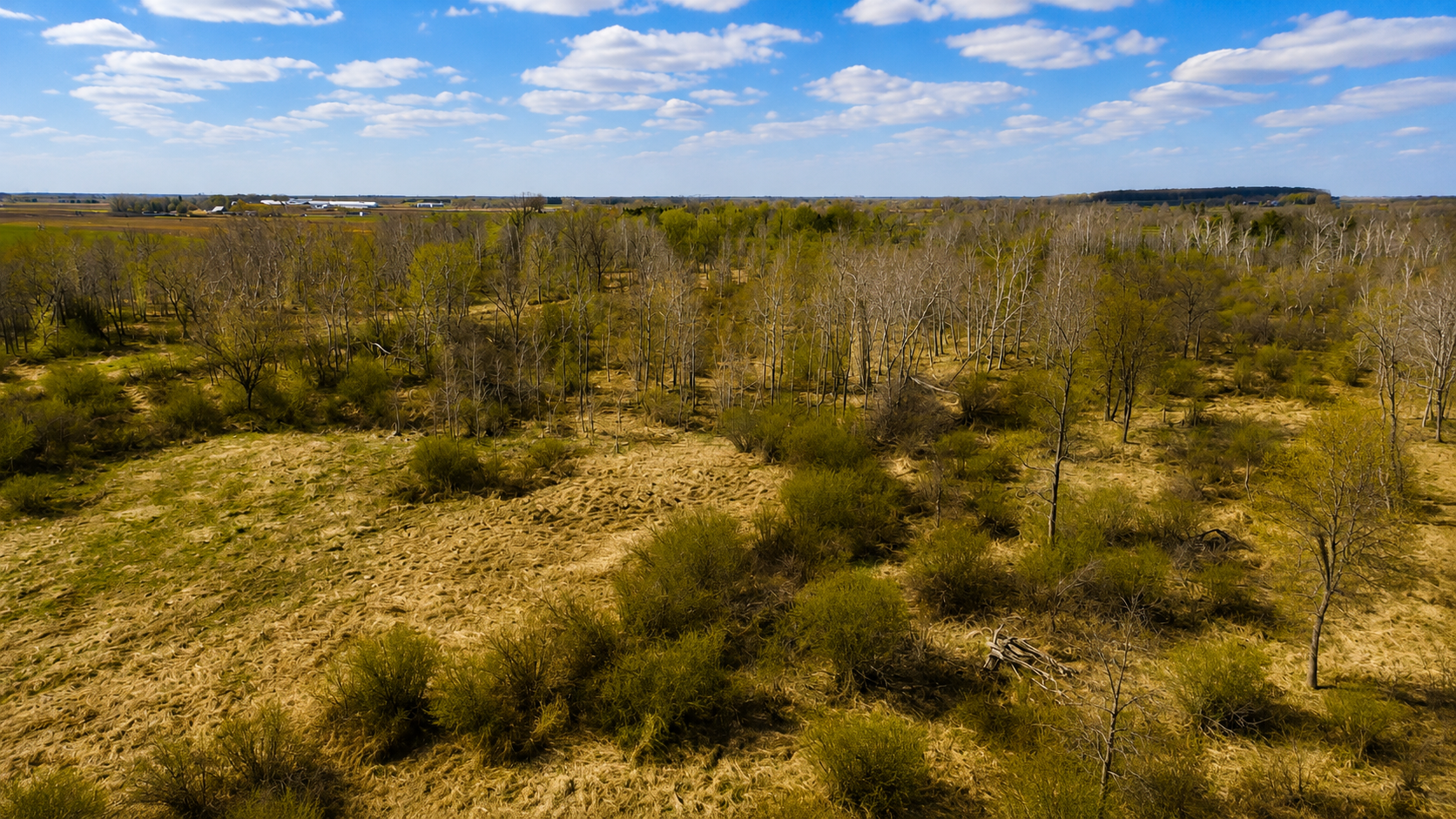 TBD STATE HWY 108, Ottertail MN 56571 - Photo 6 of 14