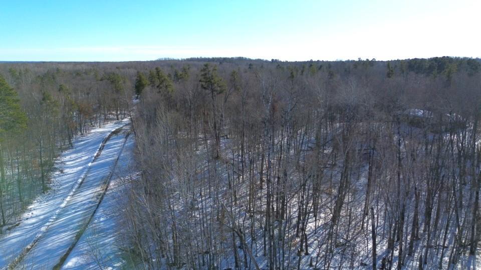TBD Flower Trail, Breezy Point MN 56472 - Photo 6 of 8