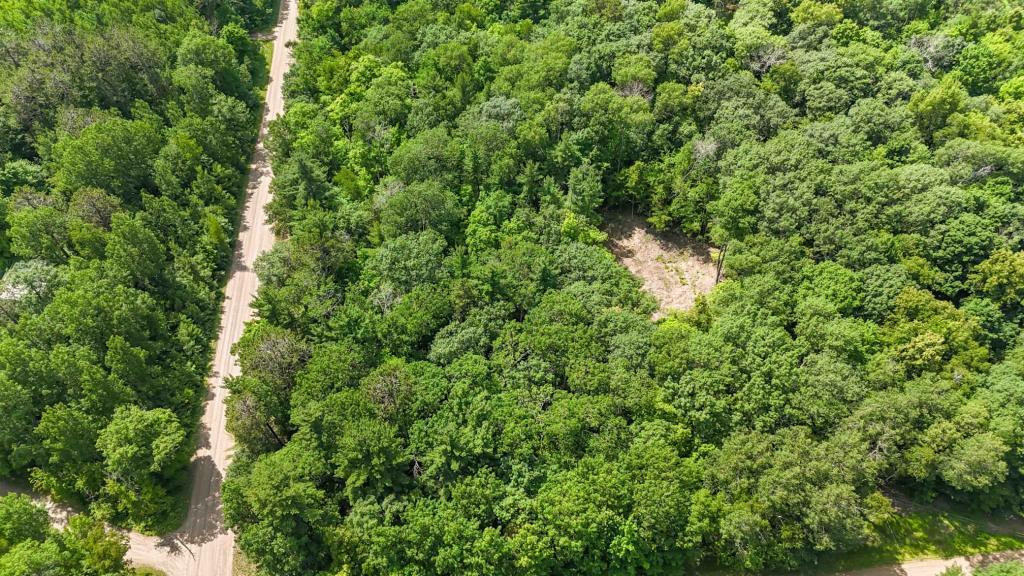 land for sale at Lots B & C 389th Ave. in Aitkin, MN (photo 11 of 14)