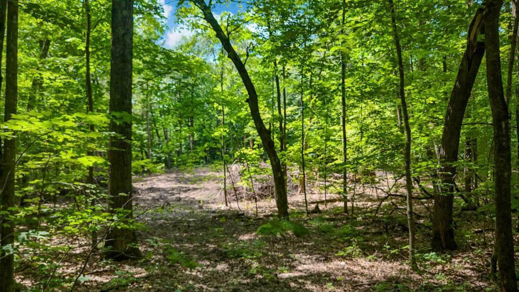 land for sale at Lots B & C 389th Ave. in Aitkin, MN (photo 12 of 14)