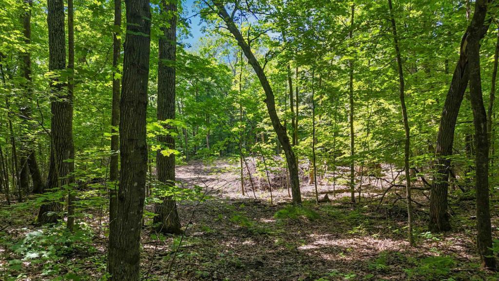 land for sale at Lots B & C 389th Ave. in Aitkin, MN (photo 13 of 14)