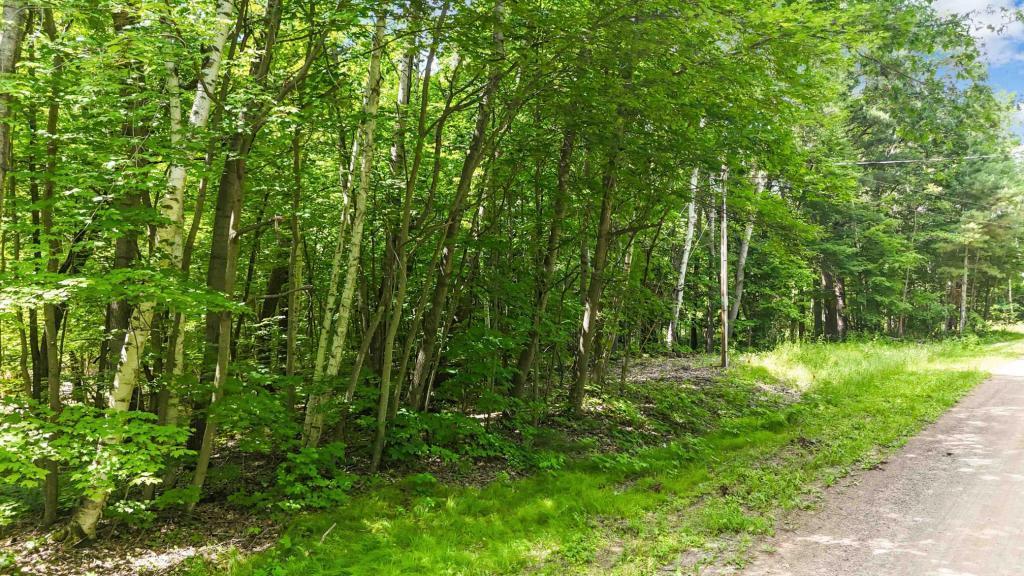 land for sale at Lots B & C 389th Ave. in Aitkin, MN (photo 5 of 14)