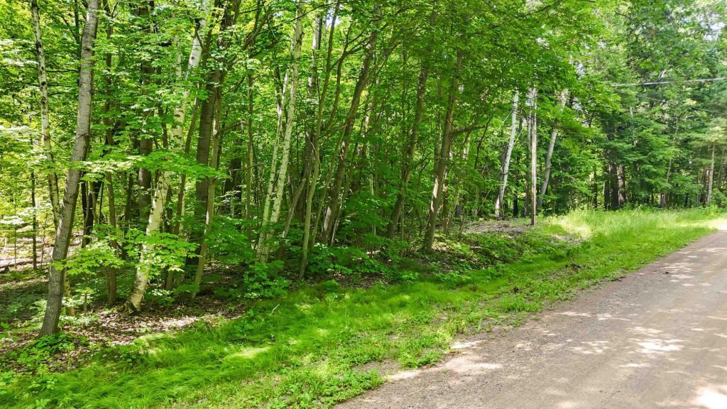 land for sale at Lots B & C 389th Ave. in Aitkin, MN (photo 6 of 14)