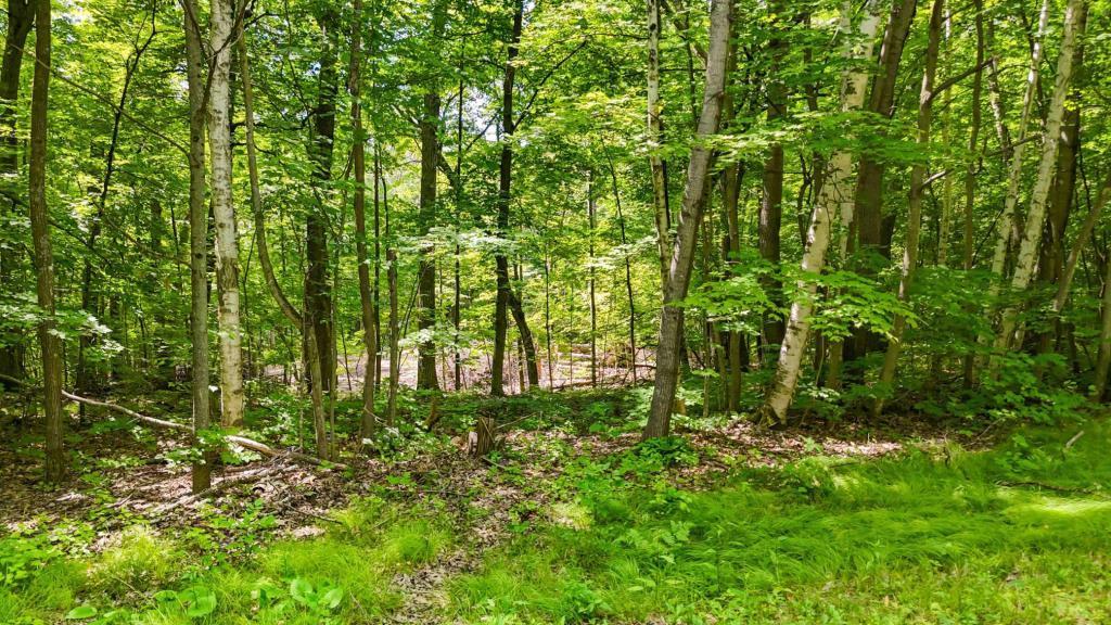 land for sale at Lots B & C 389th Ave. in Aitkin, MN (photo 8 of 14)