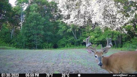 land for sale at 38XXX 385th Street in Richville, MN (photo 11 of 27)
