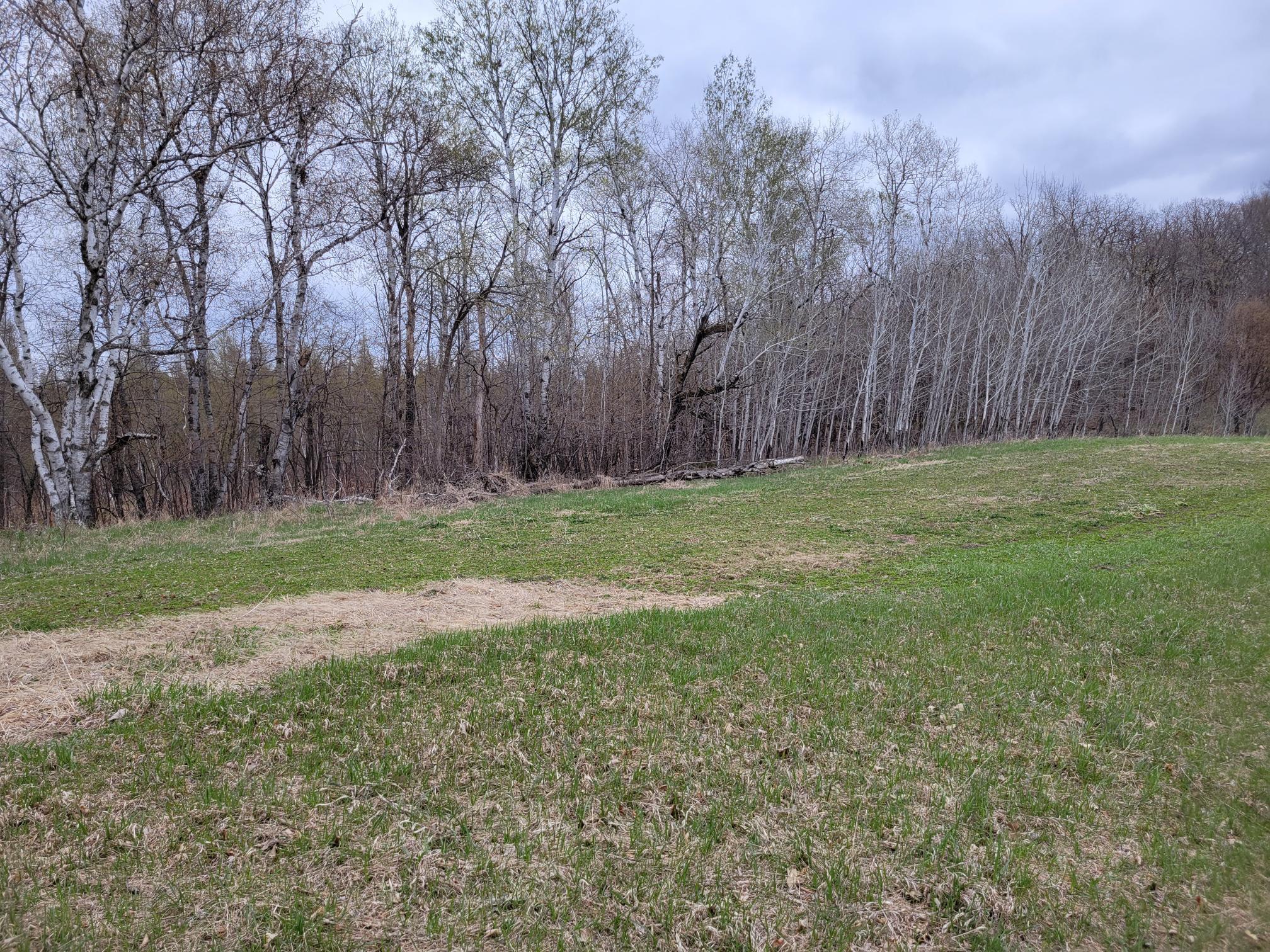 land for sale at 38XXX 385th Street in Richville, MN (photo 12 of 27)