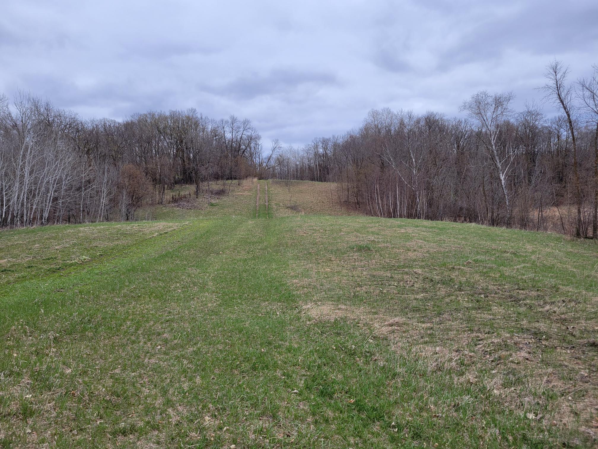 land for sale at 38XXX 385th Street in Richville, MN (photo 13 of 27)