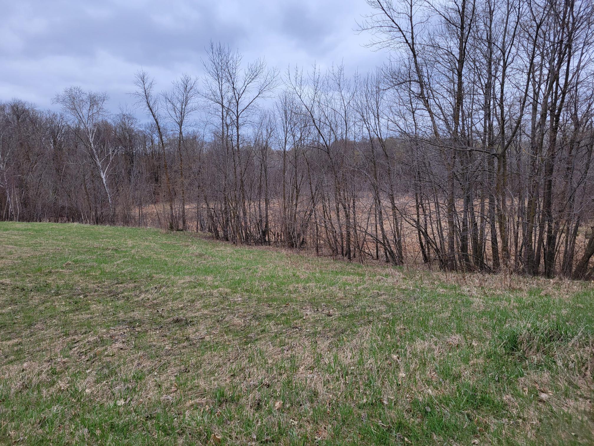 land for sale at 38XXX 385th Street in Richville, MN (photo 14 of 27)