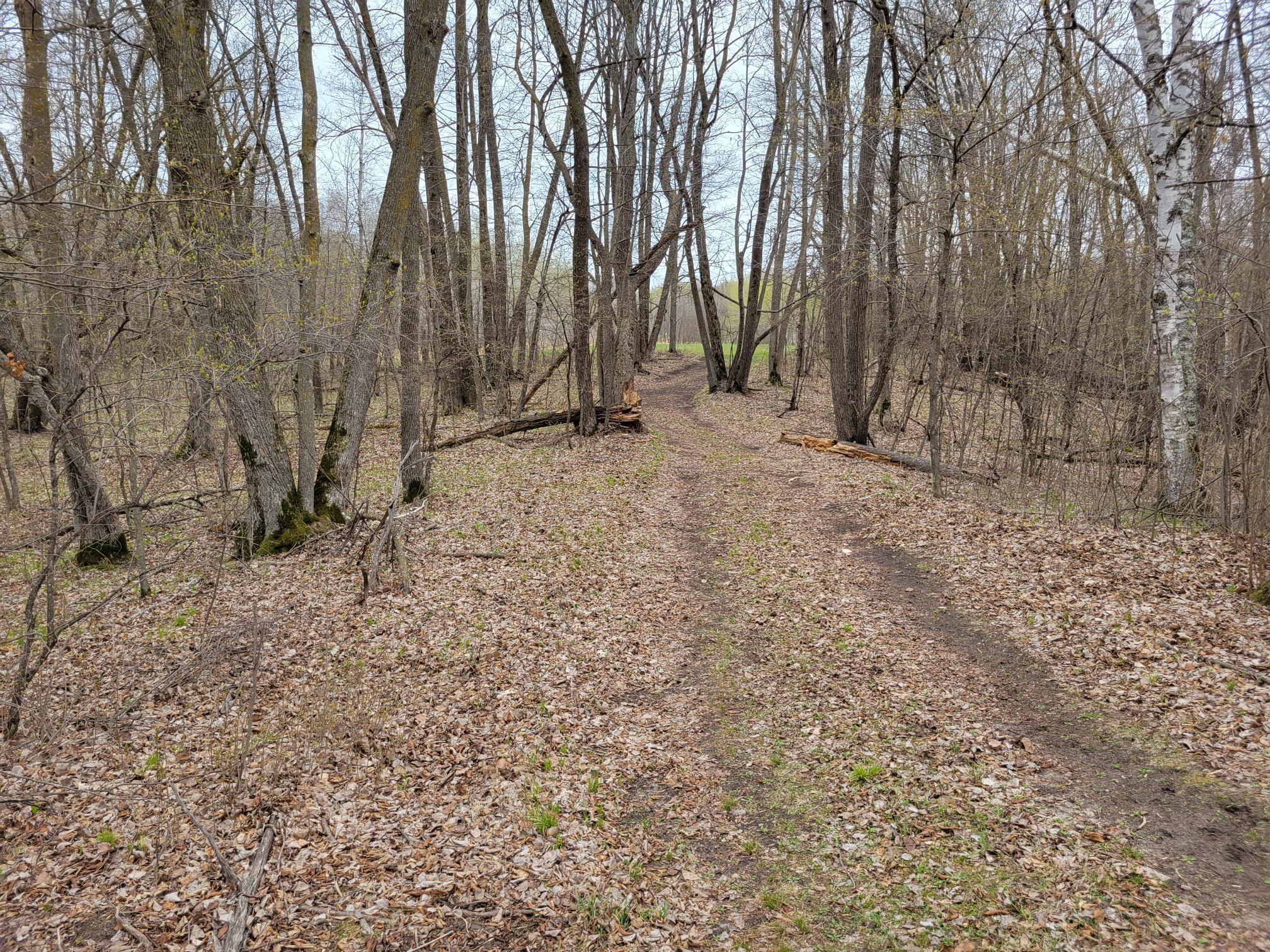 land for sale at 38XXX 385th Street in Richville, MN (photo 15 of 27)