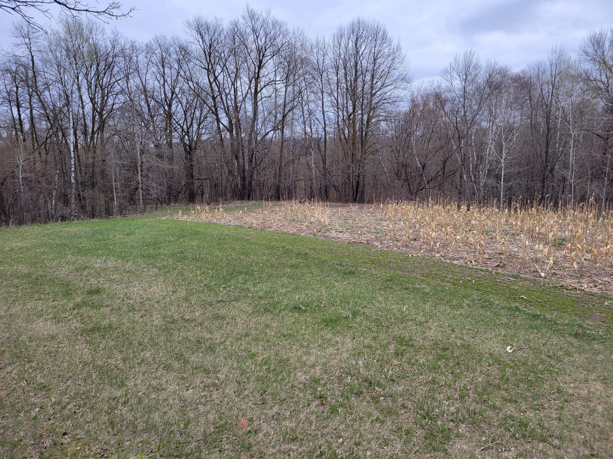 land for sale at 38XXX 385th Street in Richville, MN (photo 19 of 27)