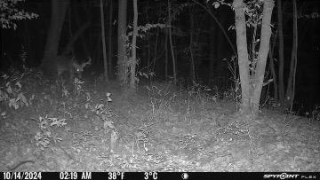 land for sale at 38XXX 385th Street in Richville, MN (photo 20 of 27)